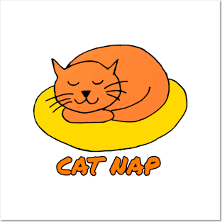 Cat Nap Posters and Art